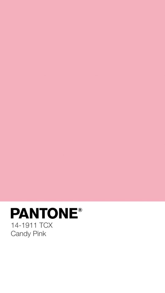 Doyoung & Jaehyun (pastel Edition)