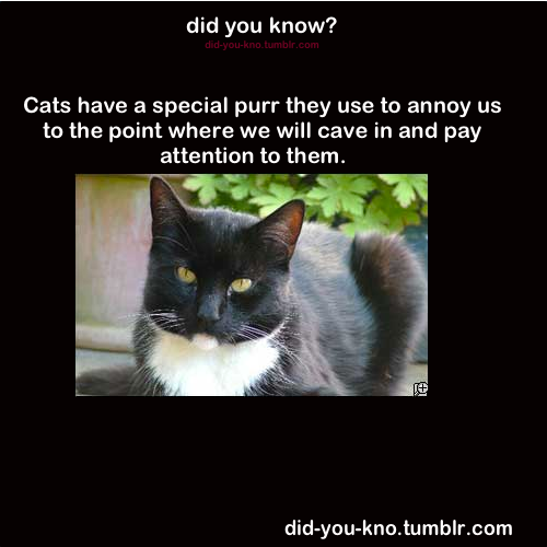 did-you-kno:  Source 