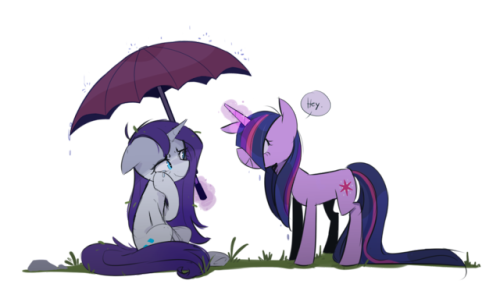 protect the upset diamond gf horse from the rain 