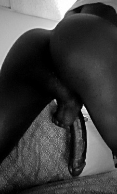 Bent4Blkcock:  3324 Bent4Blkcock 