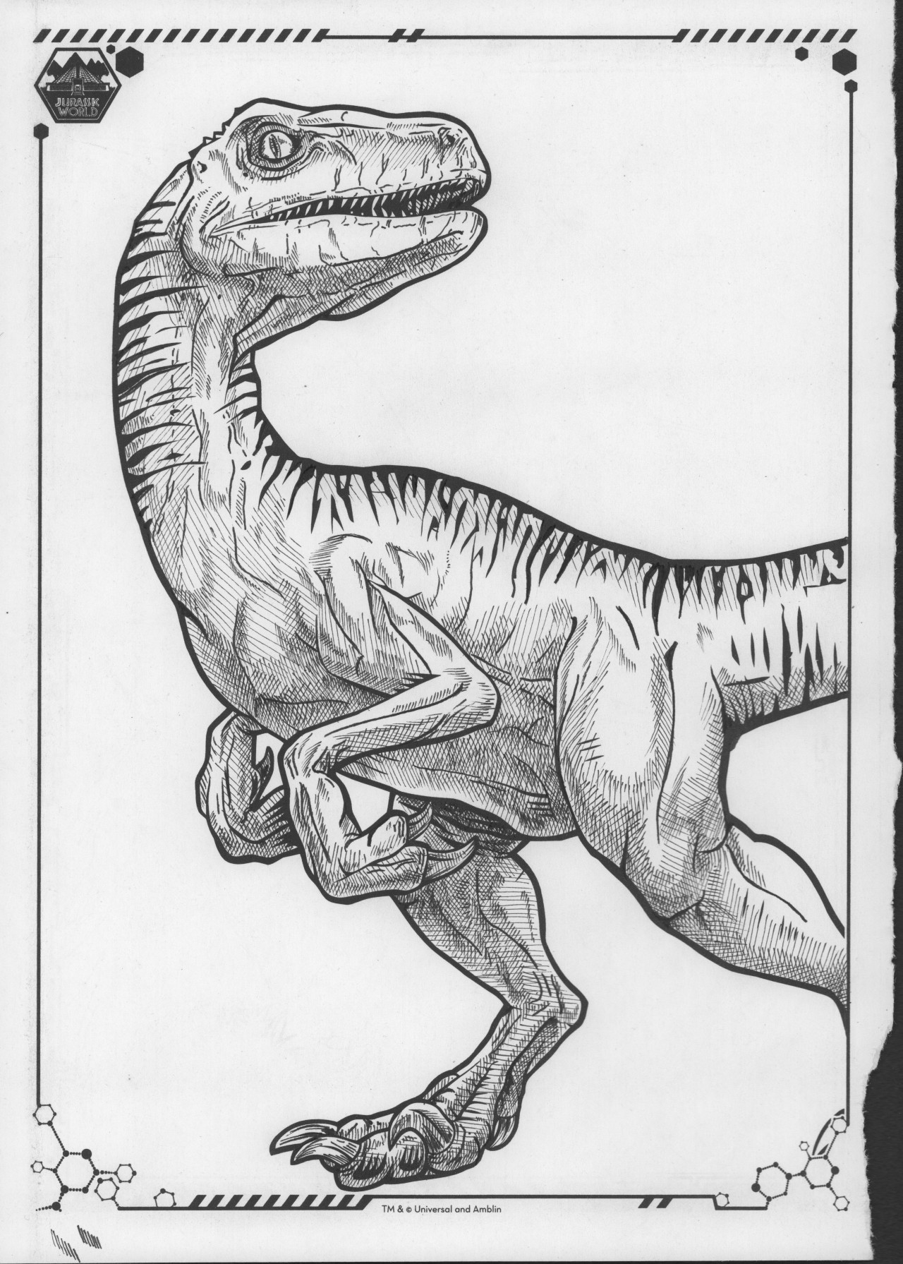 I Draw Sometimes From A Jurassic World Coloring Book The Art Is A