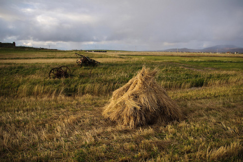 Hay stack on South Uist, by us on Flickr.