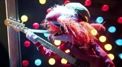 fuckyeahbassguitars:  Floyd Pepper - Electric Mayhem band (the muppet show)