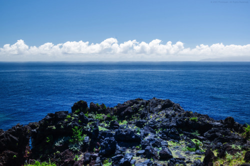 Outcrop of Volcanic Rock(Jogasaki Coast, Shizuoka Prefecture, Japan)View of Sagami Bay from an outcr