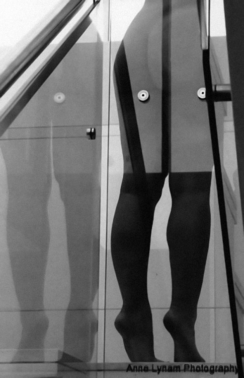 almavio: Anne Lynam © • Legs, Sydney | 2012
