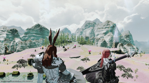 roegadynroost:We met during Heavensward, and went through Stormblood together as friends, a Bard and