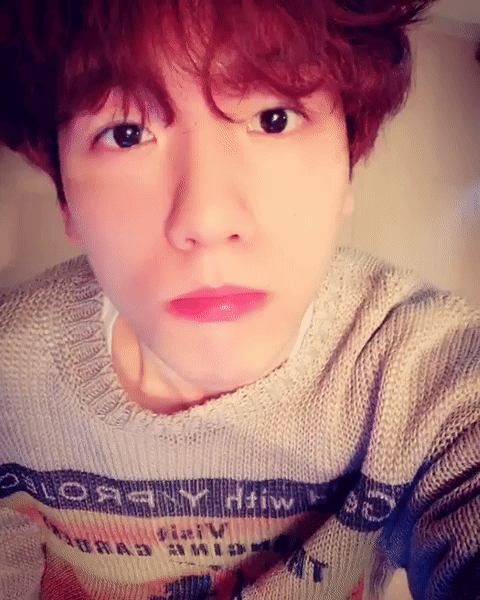 stray-but-okay: He’s so cute it hurts