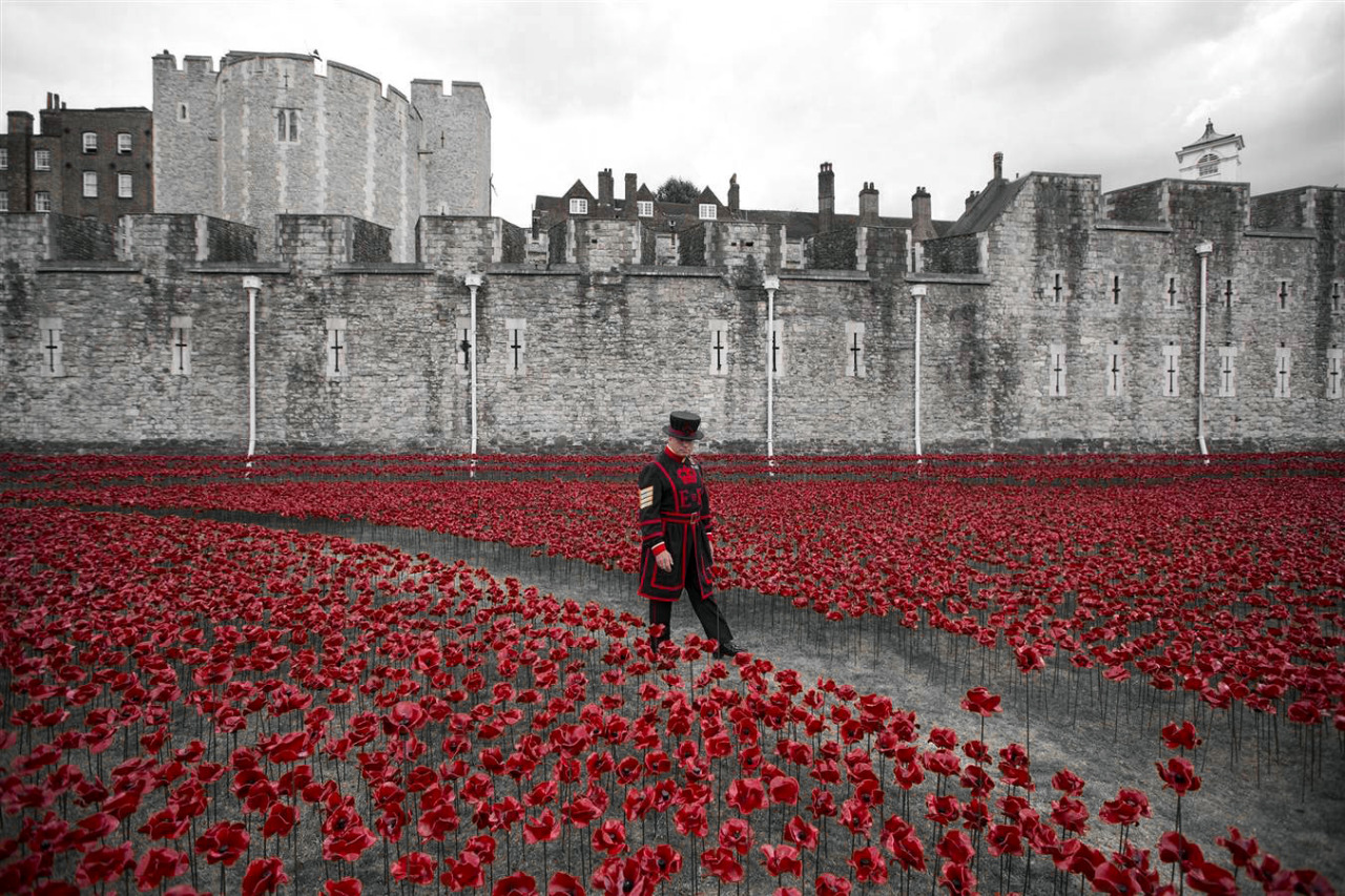 skush-uk:  Paul Cummins | Blood Swept Lands and Seas of Red  The Tower Of London