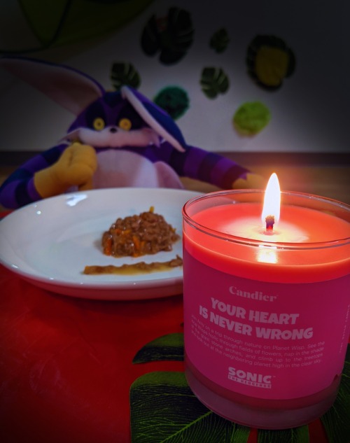Got a fancy dinner? Studying by candlelight? Just need to relax? Bring the smells of the Sonic unive