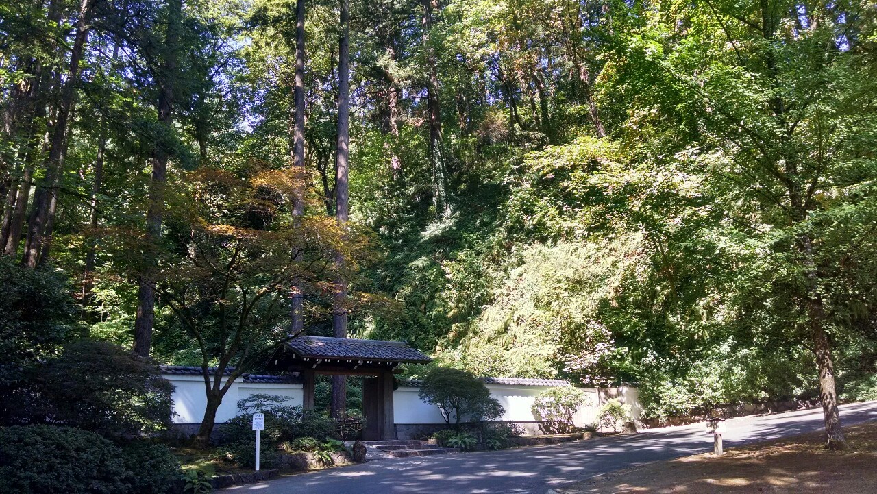 txepvi:  Some more of the Japanese gardens!