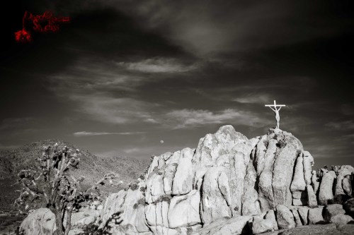 Hanging around the Mojave Desertpic by Dead Clown Studios for Diverxity.com