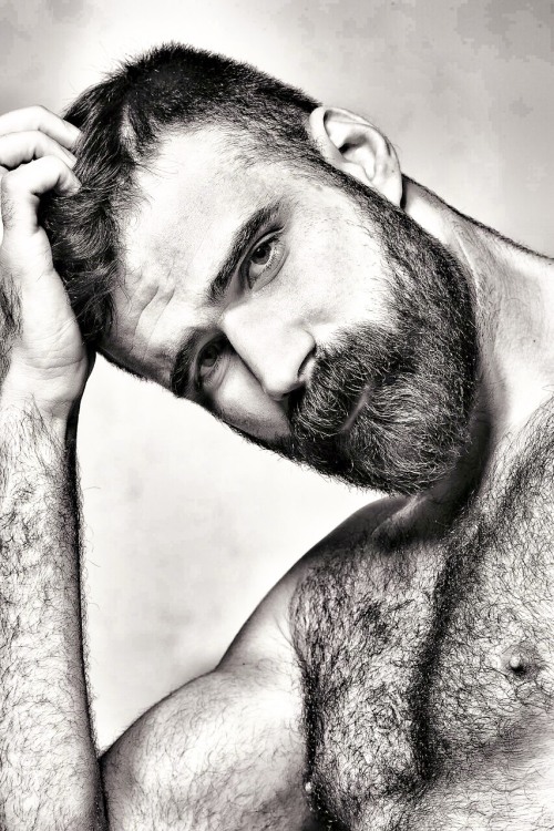 For the Love of Fur!