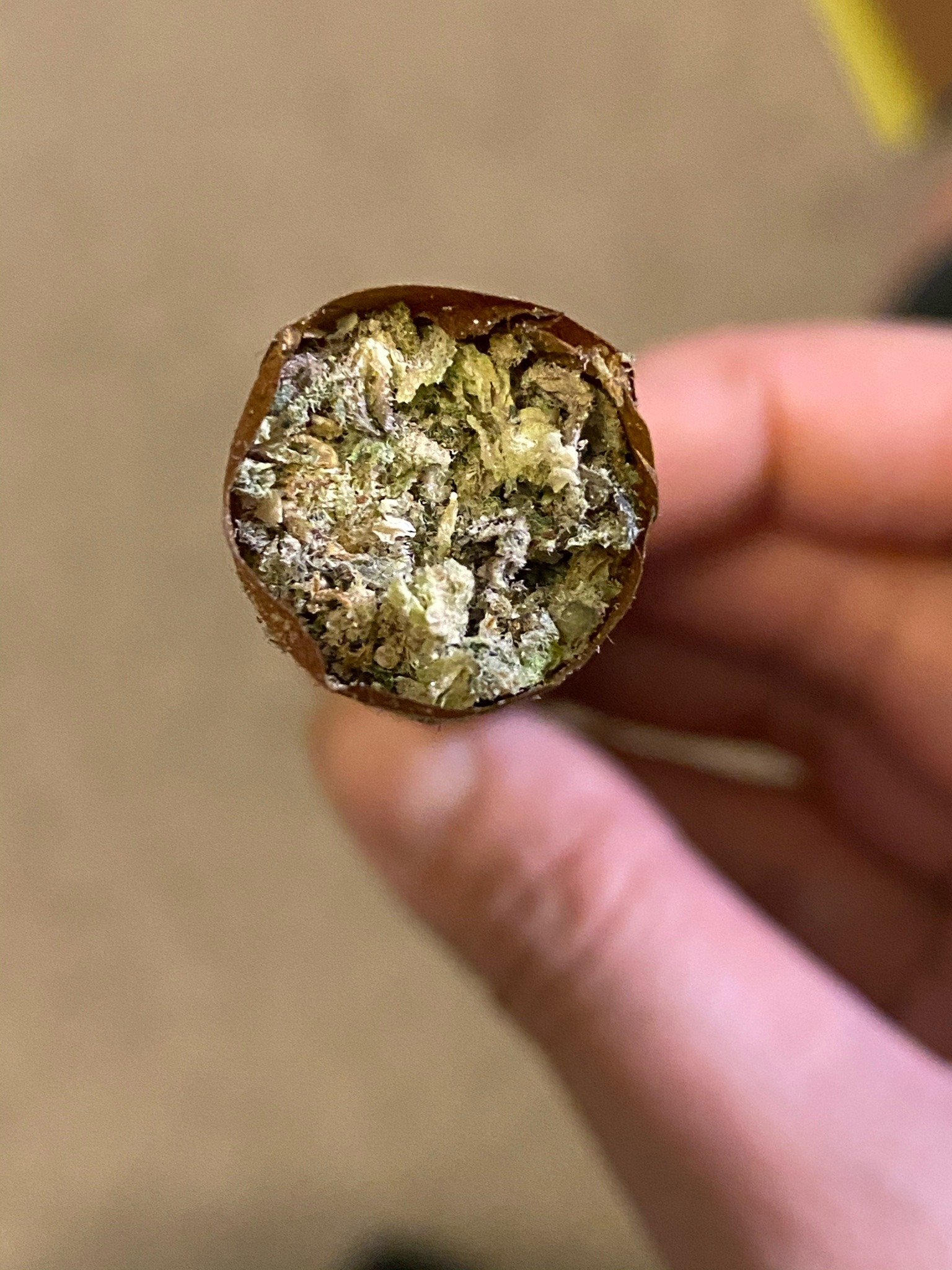 stonerjpeg:Big solo blunts 🤤