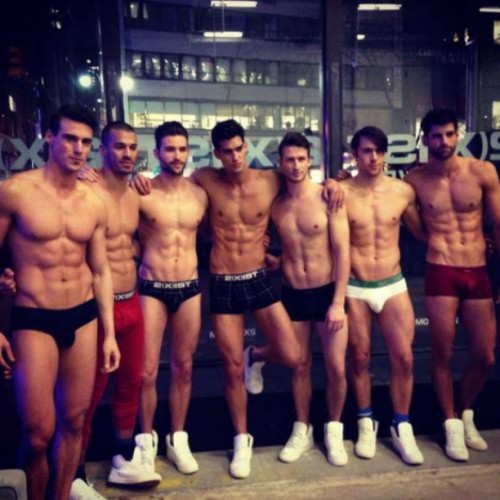 straightalphamen: Which one would you choose?