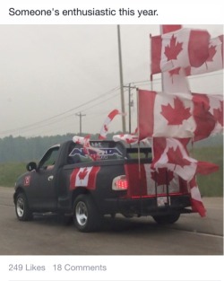 gayantlers:  suburbanfire:  owlmylove:  #this looks like some kind of Canadian version of Mad Max tbh  #mild max: maple road  fur-eh road 