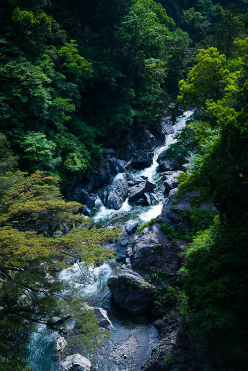 drxgonfly:  雲仙橋から (by Qura.)Okutama,Tokyo, Japan