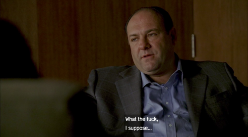 whatriverrunsdeeperthanthis:tony soprano reluctantly said gay RIGHTS