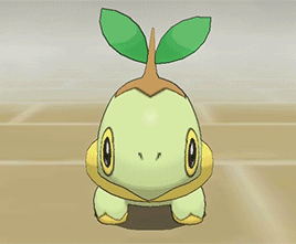 turtonator-propaganda:chasekip:Turtle PokemonAbsolute units