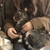happyheidi: