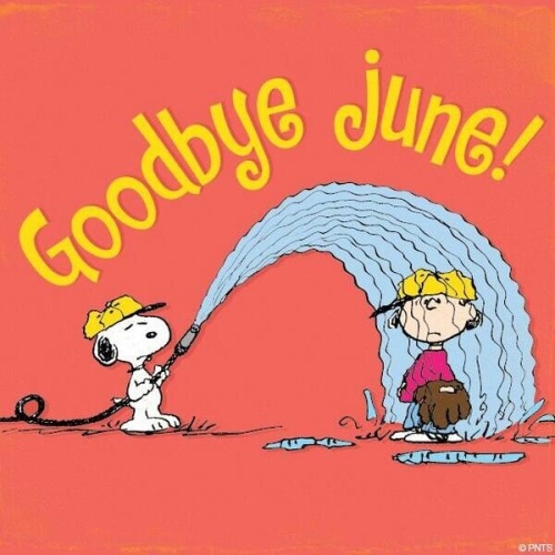 love-this-pic-dot-com: Goodbye June