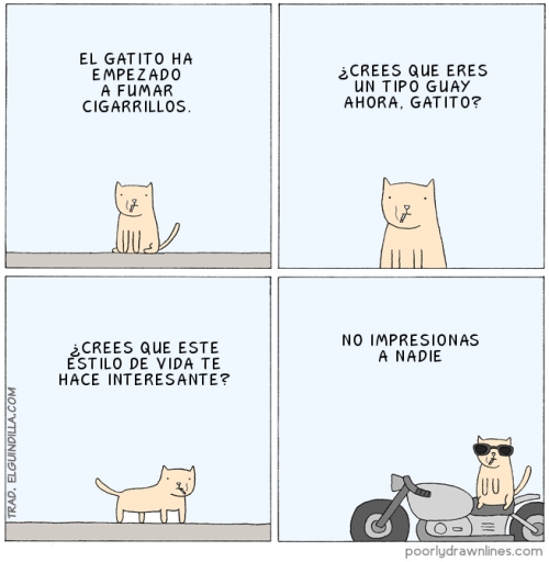 Gatito molón
El original AQUÍ