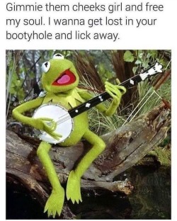 Kermit knows wassup.