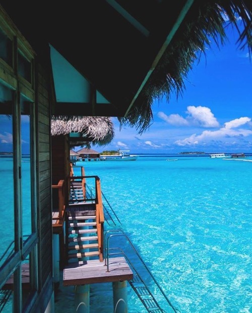 shorewonders:  baliviibes:B A L I V I I B E S x