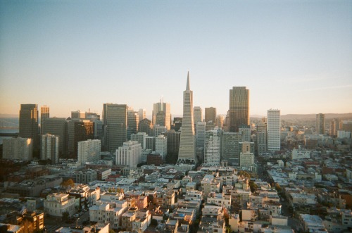 trevorinstereo:  San Francisco through the lens of a disposable camera 