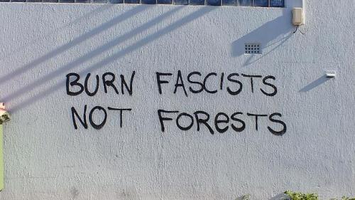 ‘Burn fascists not forests’