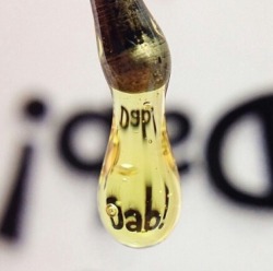 thatstonerfromtheblock:  The clear concentrate