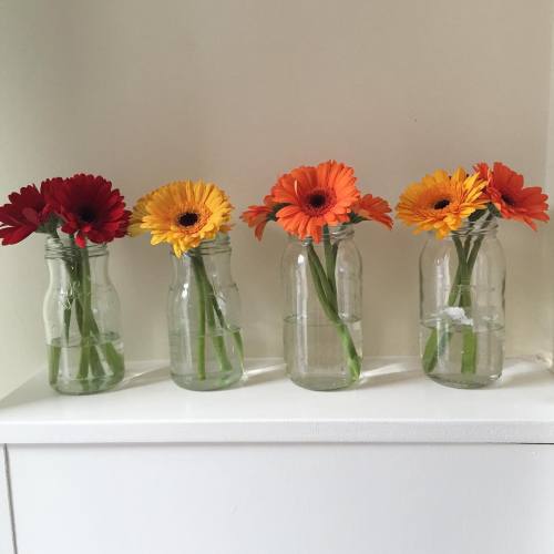 These gerberas would make good simple centrepieces with other accessories. #weddingideas #weddingins