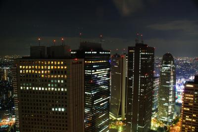 Tokyo, View From Metropolitan Government Building 2, Japan