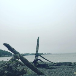 Shipwreck?  (at Richmond Beach Saltwater Park)