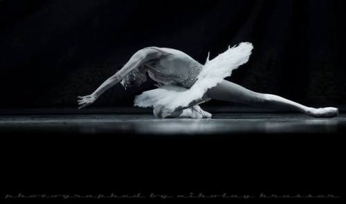 galina-ulanova:Yulia Makhalina as the Dying Swan (Mariinsky Ballet, 2014)