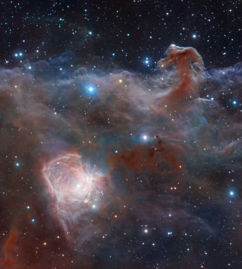 childrenofthisplanet:“The Horsehead Nebula”While drifting through the cosmos, a magnific
