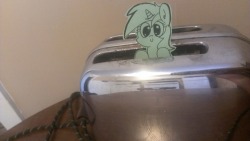 davierocket: davierocket:  Lyra, playing in a toaster is a bad idea. No, I don’t care if it’s unplugged. That’s not a good idea.   See, what did I tell you… Wel, I guess that’s one way of looking at things.  xD