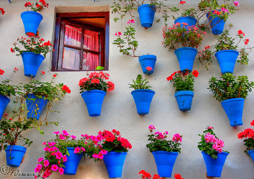 Asómate a la ventana, mi niña…. by FJcuenca on Flickr.