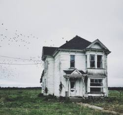 schickjessica: Today in an abandoned house in Ferndale, California. 