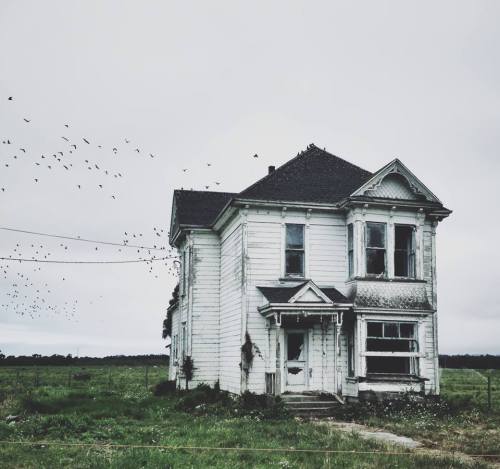 schickjessica:  Today in an abandoned house in Ferndale, California.