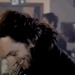 rivamikaleviosa:oh don’t mind me, just appreciating the many faces of Michael Sheen 