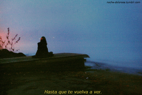 noche-dolorosa: Enchanted - Taylor Swift .