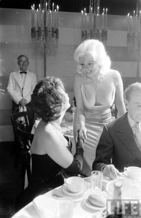 domesticatedbimbo:aclockworkfetish:billyhopkinson:Jayne Mansfield meets Sophia Loren ⚙️So co