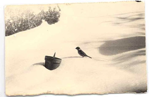 nobrashfestivity:  Masao Yamamoto 