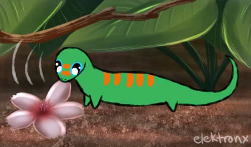 elektronx: Hat! 🌸