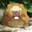 numberonebidoofenjoyer