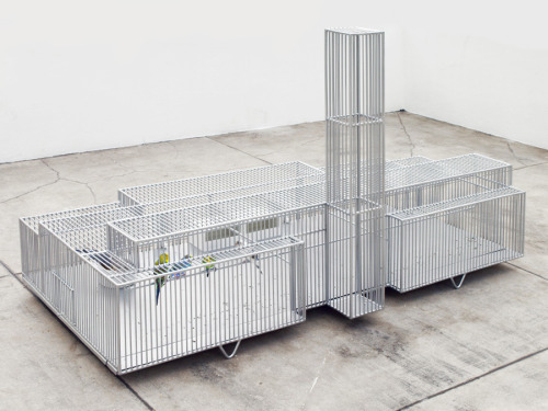 nyctaeus:  Museum Bird Cages by Marlon de Azambuja 1. Tate Modern, London 2. Guggenheim, New York 3. Sao Paolo Museum of Art [MASP] 4. New Museum, New York
