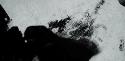 rubyredwisp:  ♕ So you believe you are pure? Perfect? Wholly without sin? None of us are.  