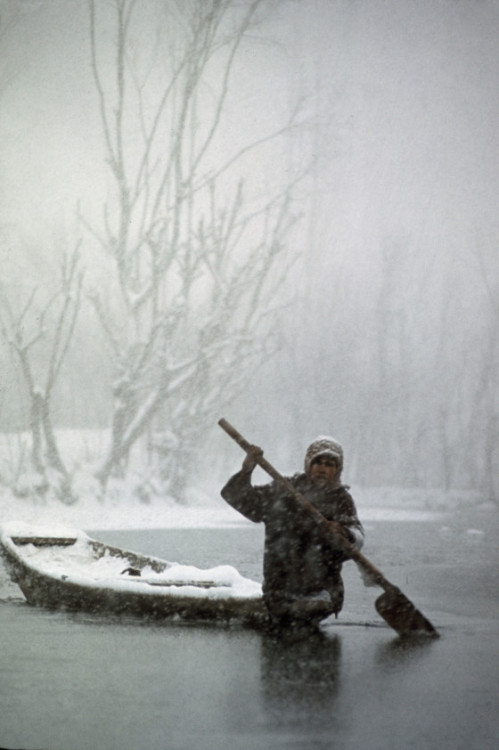 molkolsdal:Marilyn Silverstone At the height of the blizzard a young boy paddles his shikara skiff, 