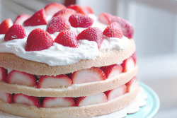 cinnahearts:  Strawberry Cream Cake (by niftyfoodie)     