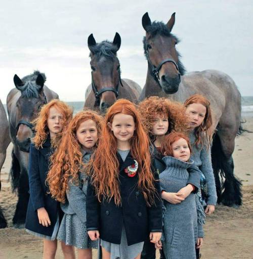 girlfawn:onceuponawildflower:mogifire:red hair girls from irelandOh my heartmy new favourite photo o